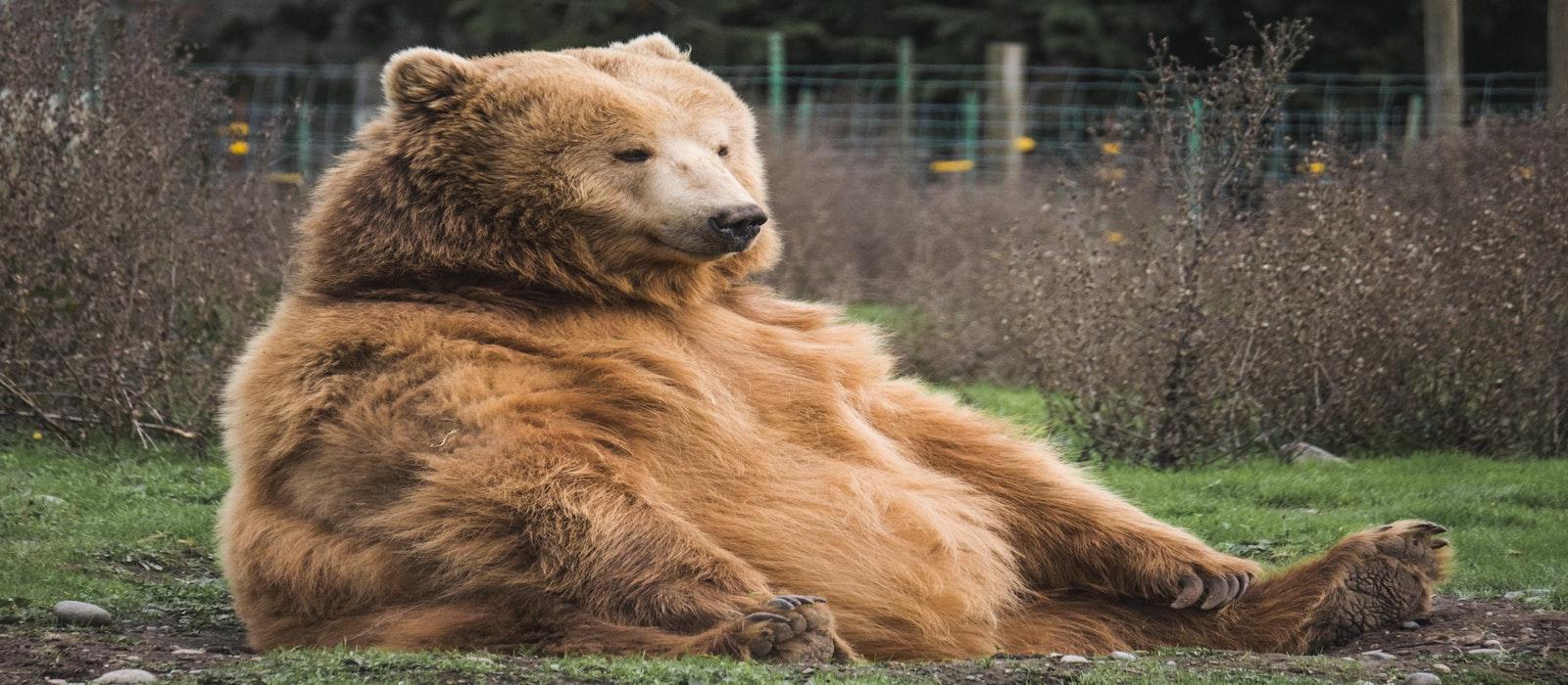 What You Should Remember About Bear Markets