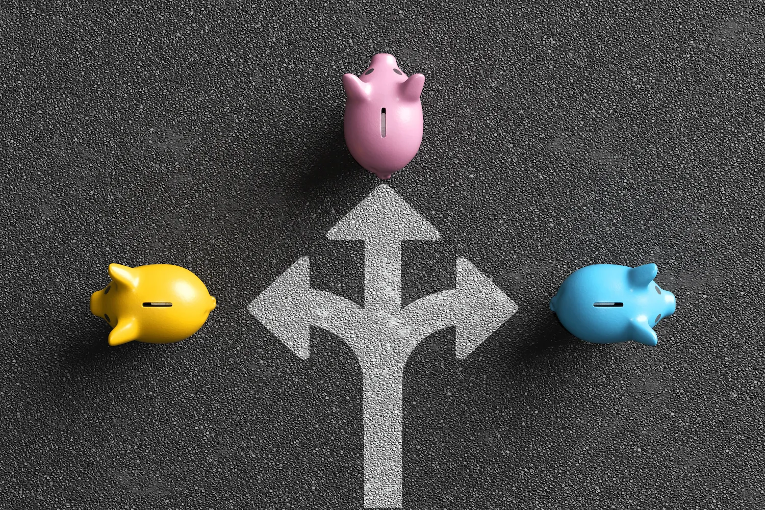 Three piggy banks facing in different directions on an asphalt road